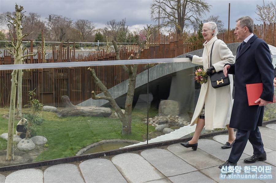 （国际）（1）丹麦女王为哥本哈根动物园熊猫馆揭幕
