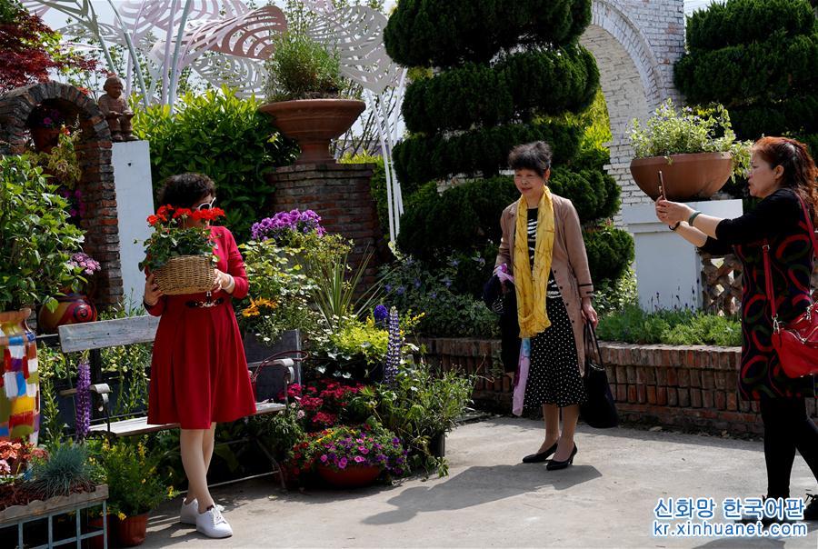 （春季美麗生態）（1）上海舉辦家庭園藝展