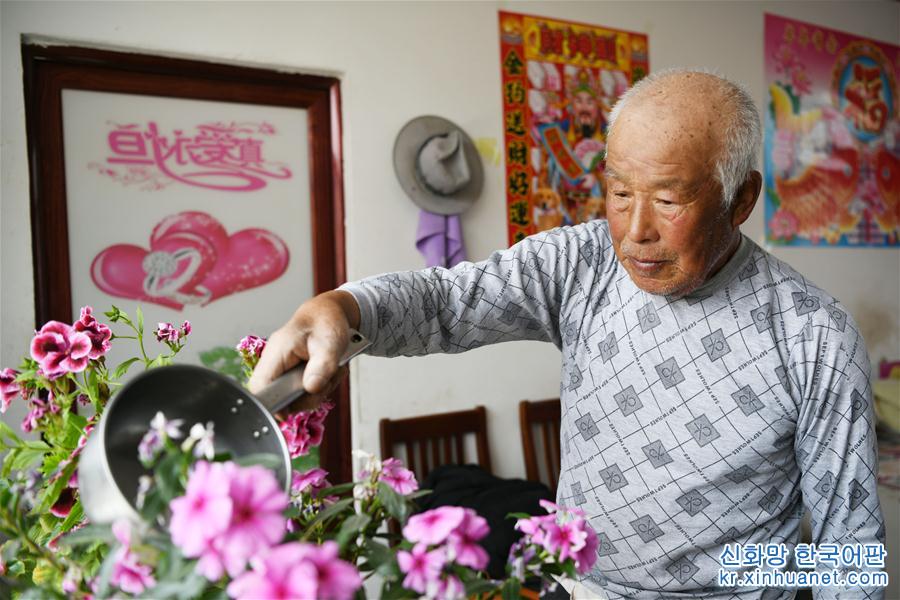 （壮丽70年·奋斗新时代·图文互动）（3）“光腚屯”富了美了——《暴风骤雨》原型地黑龙江元宝村振兴见闻 