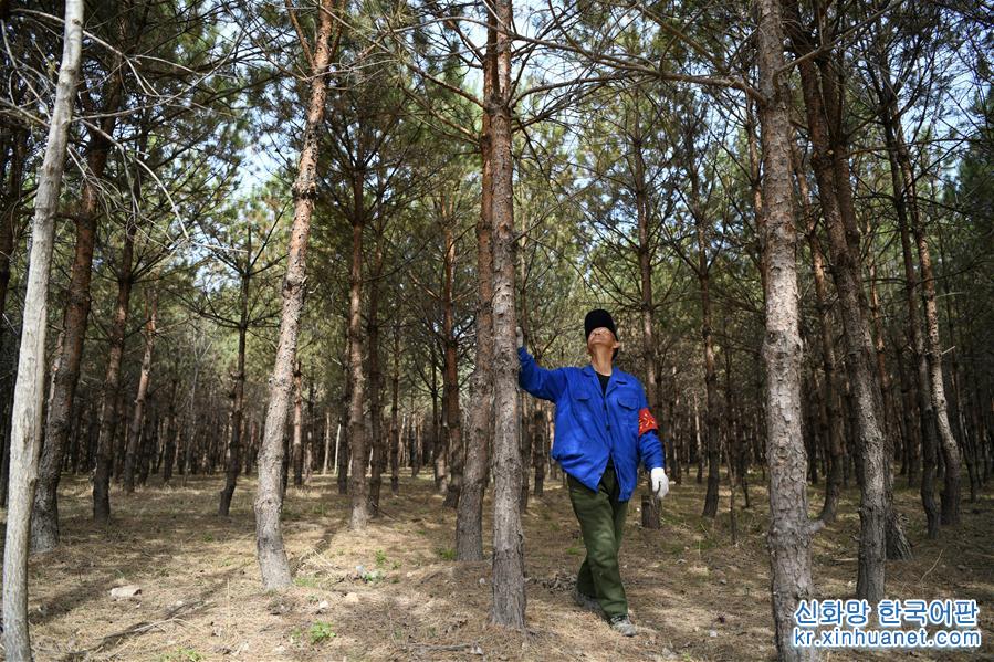 （壮丽70年·奋斗新时代·图文互动）（6）“光腚屯”富了美了——《暴风骤雨》原型地黑龙江元宝村振兴见闻 