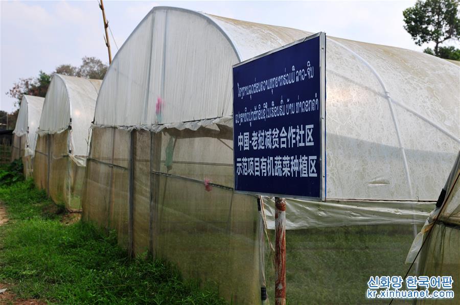 （国际·“一带一路”高峰论坛·图文互动）（1）蔬菜基地诞生记——中国技术让老挝首都郊区农户受益匪浅