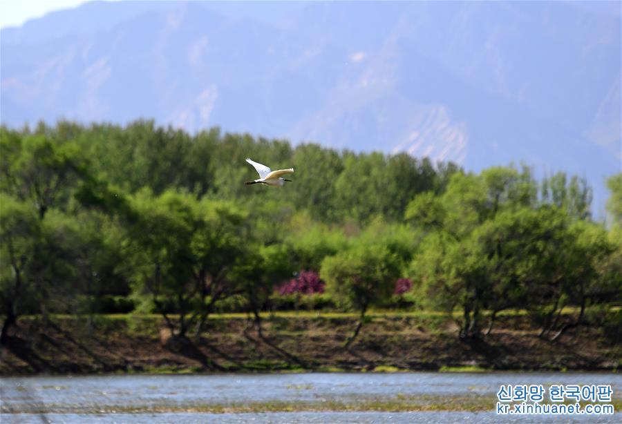 （北京世园会）（7）生态中国·山水延庆映世园