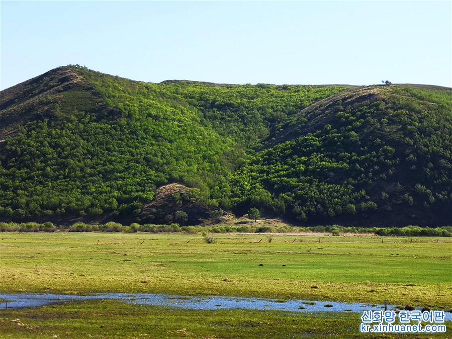 （环境）（3）内蒙古草原陆续进入返青期