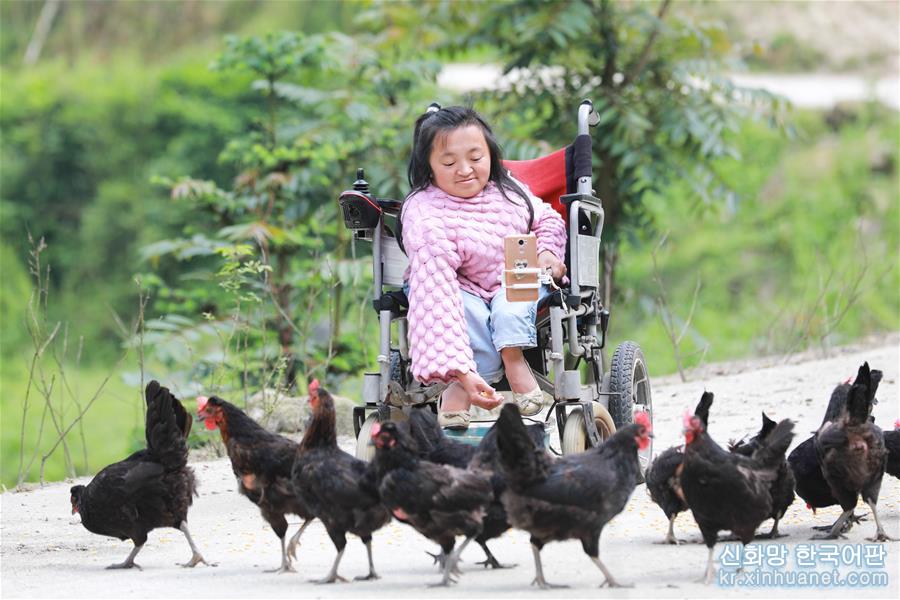 #（图片故事）（11）湖南衡阳：“袖珍姑娘”手机直播卖鸡蛋