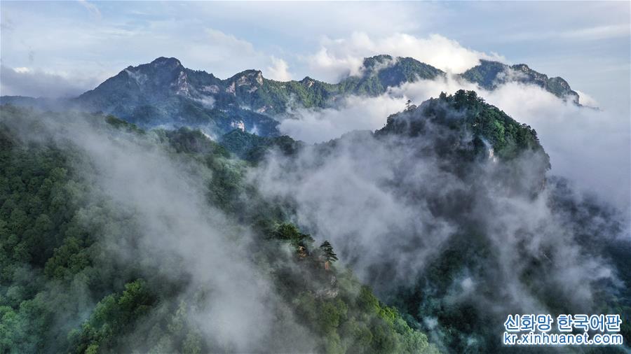 （美丽中国）（5）陕西略阳雨后初霁 森林公园美若仙境