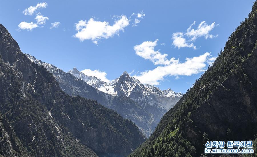 （新华视界）（6）西藏波密：“冰川之乡”风景多