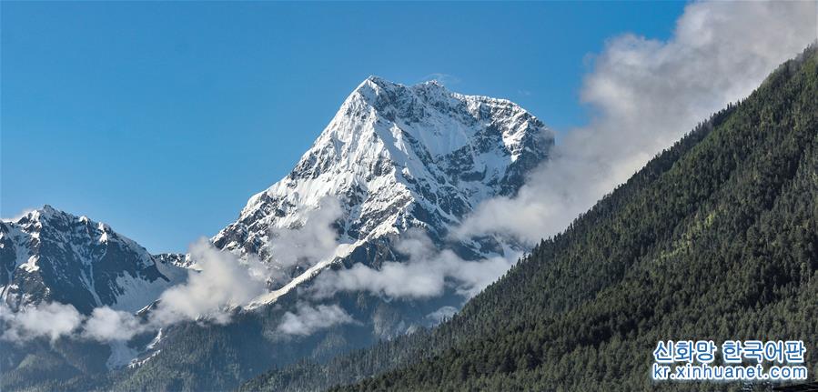 （新华视界）（3）西藏波密：“冰川之乡”风景多