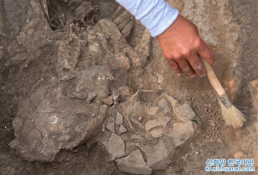 （图文互动）（7）考古人员首次明确发现商代铸铜工匠家族墓地