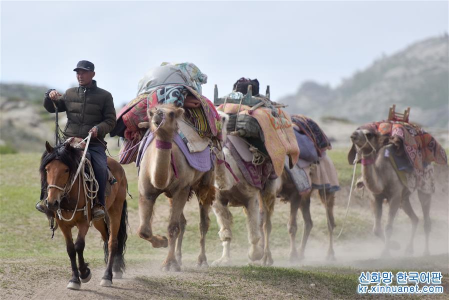 （图片故事）（6）走近哈萨克族牧民的转场生活