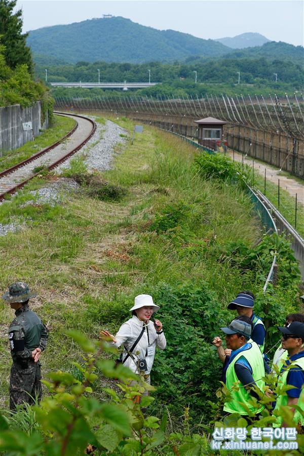 （國際）（1）探訪韓朝邊境“非軍事區和平之路”
