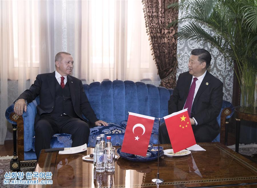 （时政）习近平会见土耳其总统埃尔多安