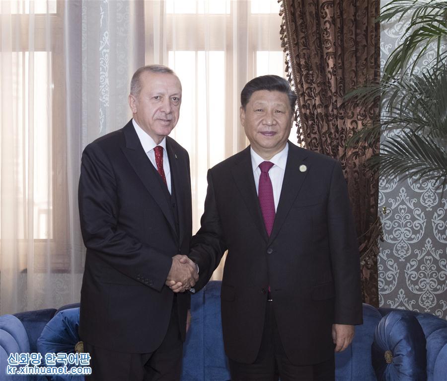 （XHDW）习近平会见土耳其总统埃尔多安