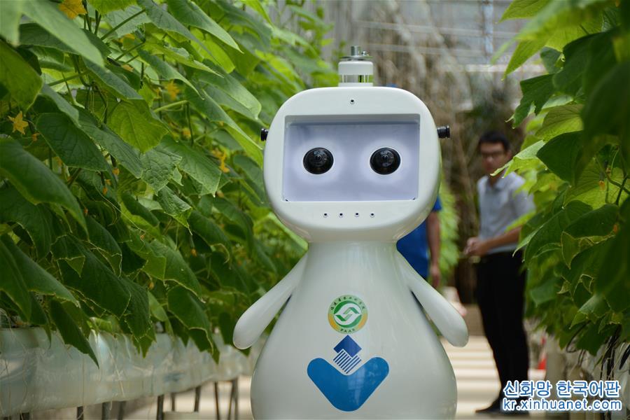 （圖文互動）（1）邁向“無人農場”——福建發布人工智慧農業機器人
