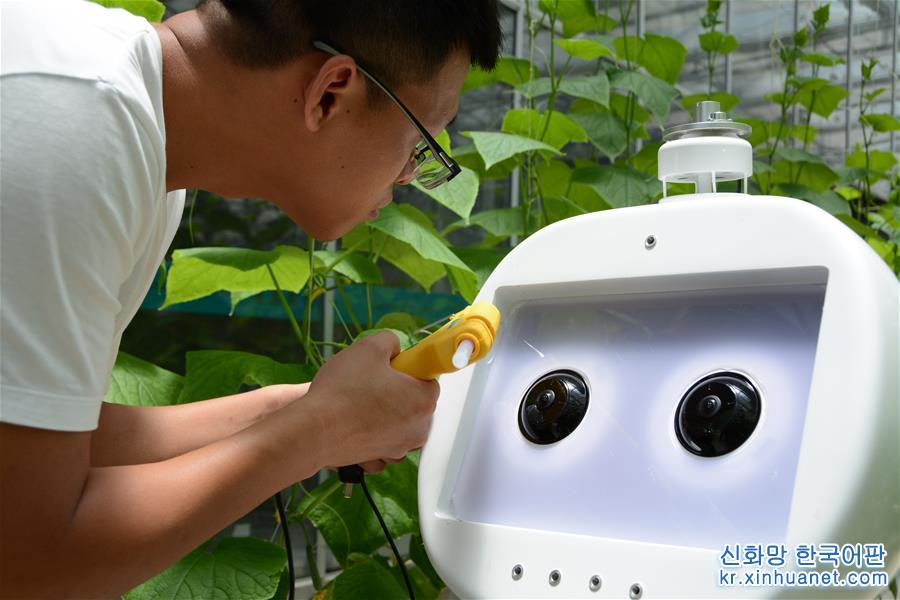 （圖文互動）（2）邁向“無人農場”——福建發布人工智慧農業機器人