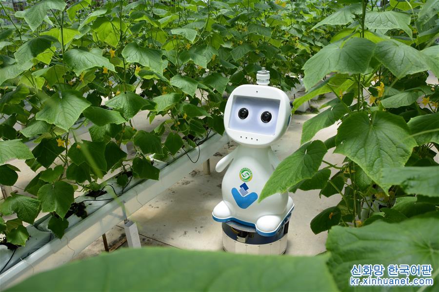 （圖文互動）（3）邁向“無人農場”——福建發布人工智慧農業機器人