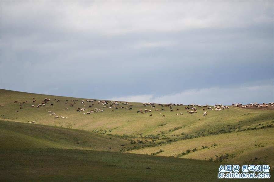 （国际）（1）蒙古国草原夏日美景