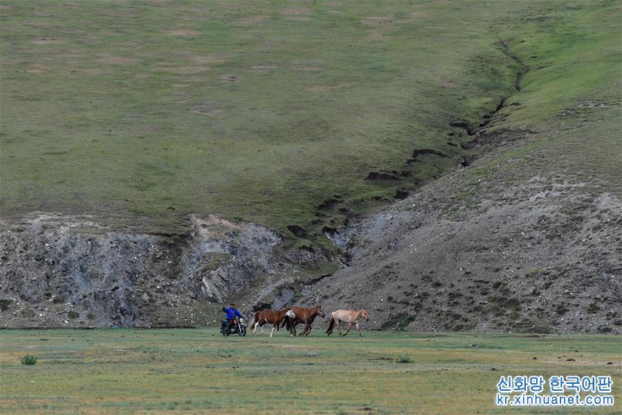 （国际）（3）蒙古国草原夏日美景
