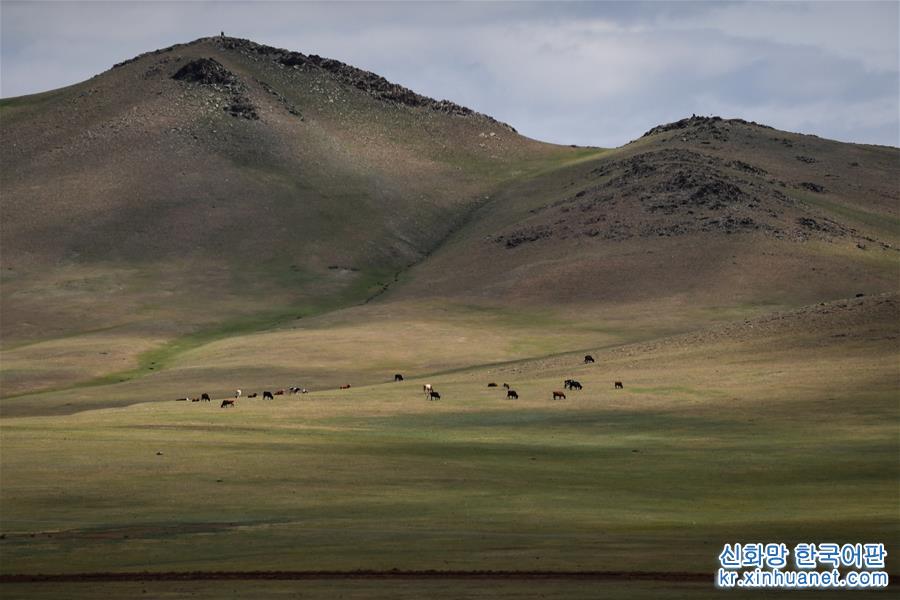 （国际）（5）蒙古国草原夏日美景