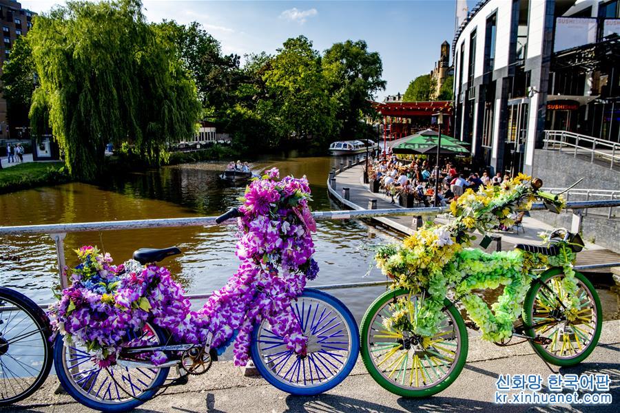 （国际·北京世园会）（3）荷兰城市的绿色生活
