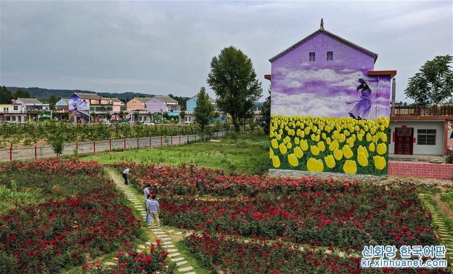 （美丽中国）（4）陕西洛南：铺满鲜花的玫瑰小镇