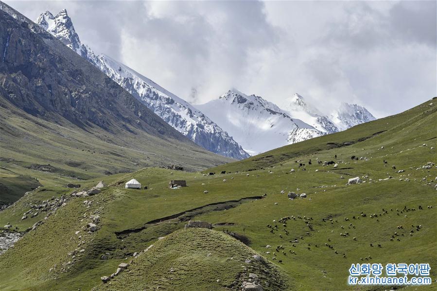 （環境）（3）新疆塔什庫爾幹：“雲端牧場”生態美