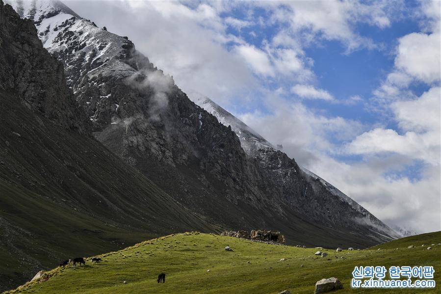 （環境）（5）新疆塔什庫爾幹：“雲端牧場”生態美
