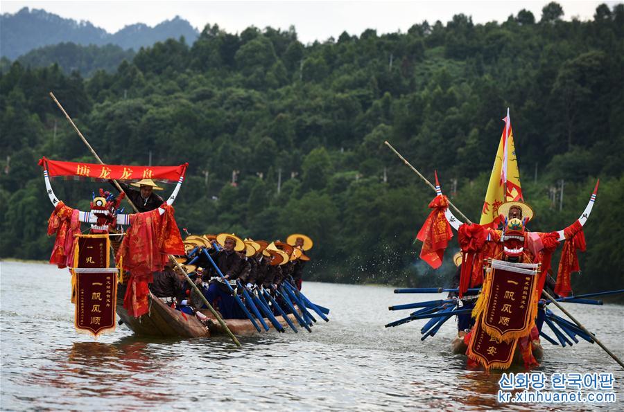 （文化）（4）贵州台江：欢度苗族独木龙舟节
