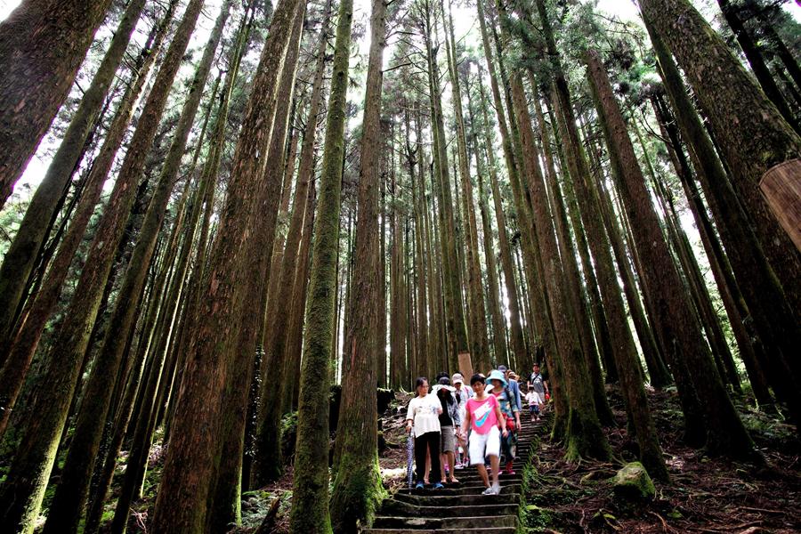 （北京世园会）（6）生态中国·山清水秀瞰宝岛