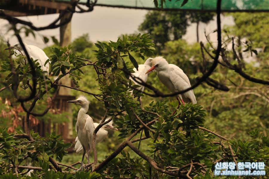 （国际·北京世园会）（8）世界园林巡礼——加纳勒贡植物园