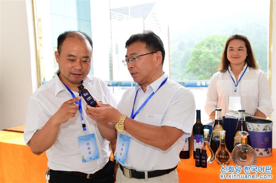 （经济）（5）贵州麻江：加快蓝莓产业发展富民兴县