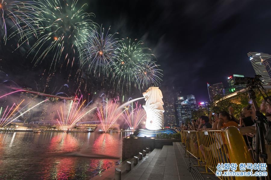 （新华视界）（3）新加坡举行国庆庆典彩排
