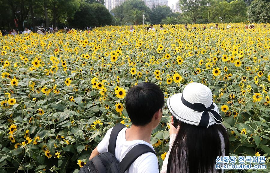 （社会）（5）上海：暂别阴雨 游人赏花