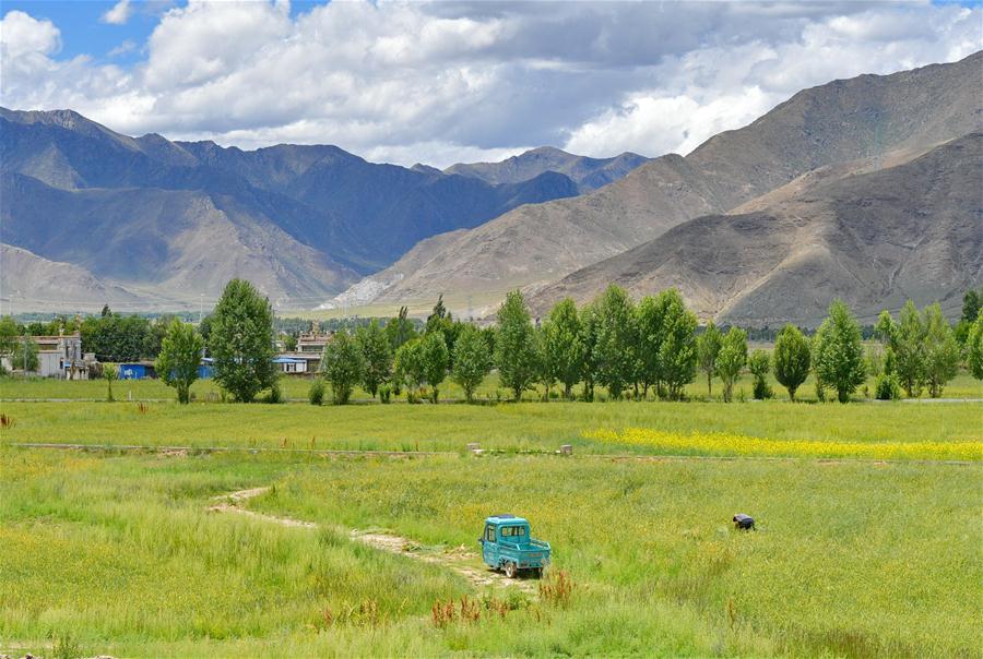 （环境）（5）西藏：拉林公路夏日美
