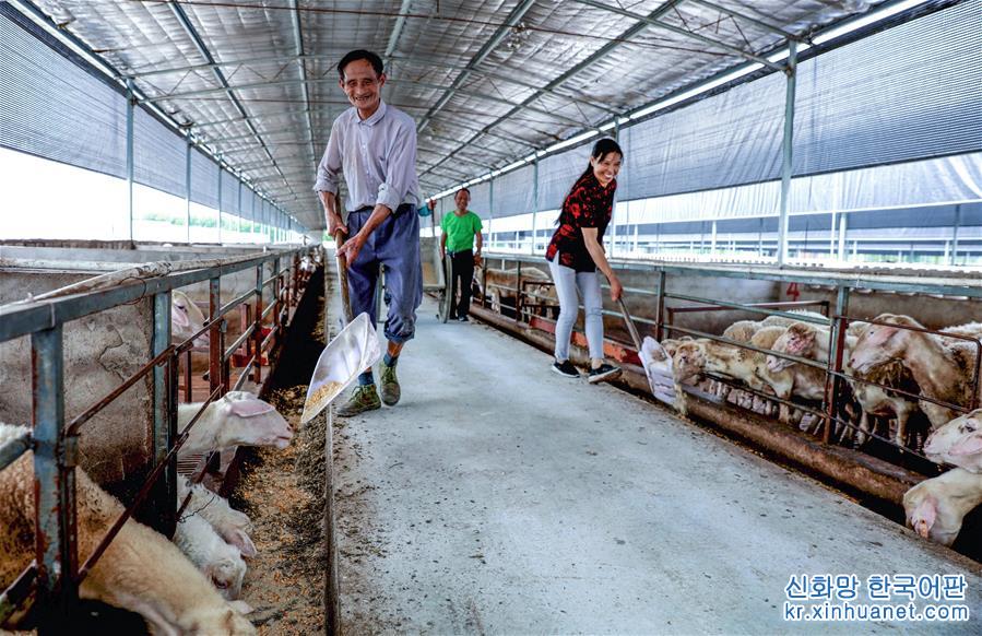 （经济）（1）浙江长兴：产业帮扶 养羊致富