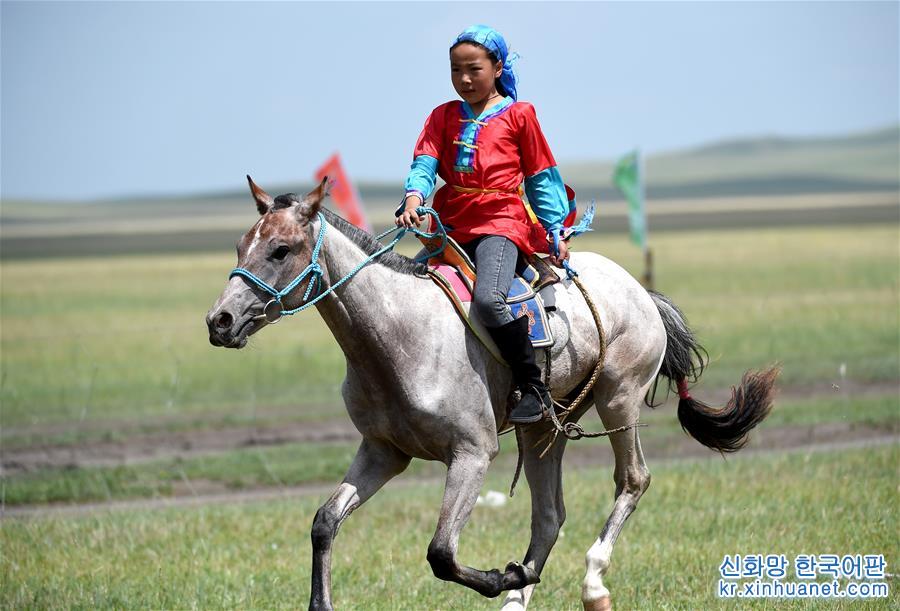 （图片故事）（1） 少女骑手马背上“飞驰”的夏天