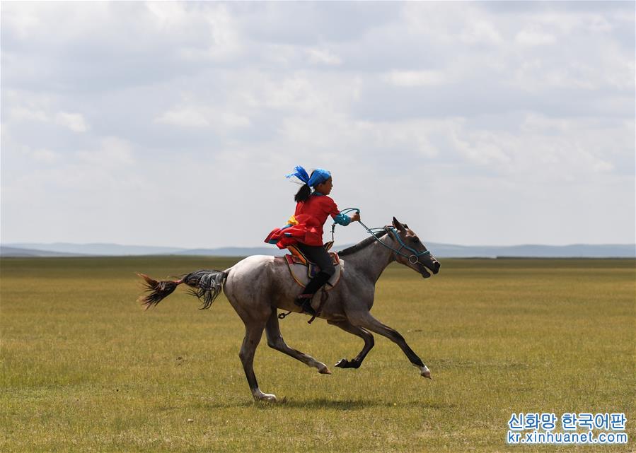 （图片故事）（5） 少女骑手马背上“飞驰”的夏天