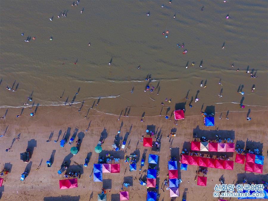 （环境）（8）光影霞浦夏日