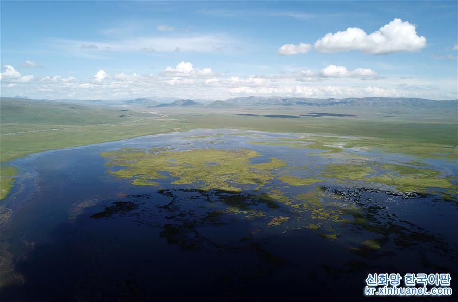 （环境）（2）甘肃尕海湖水域面积持续扩大