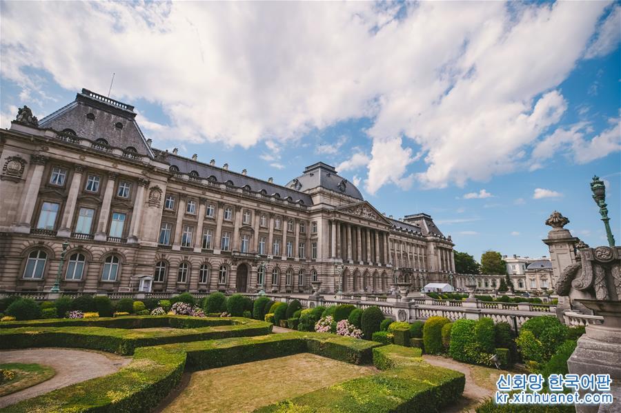 （国际）（2）比利时王宫迎来暑期开放季