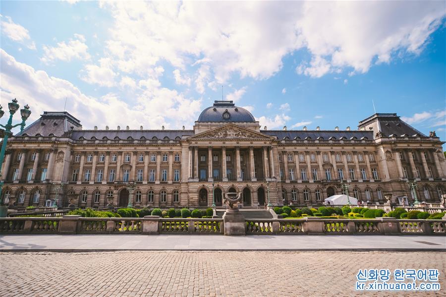 （国际）（9）比利时王宫迎来暑期开放季