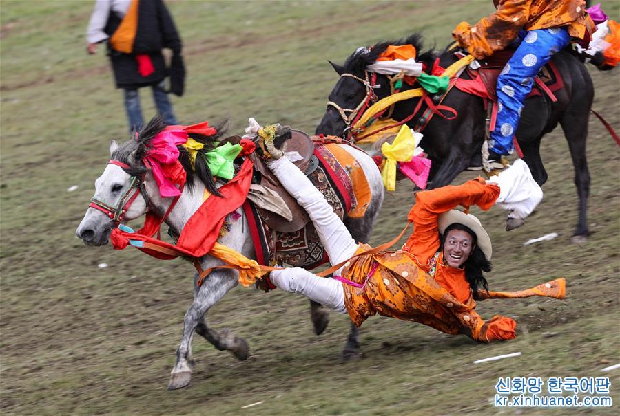 （社会）（1）来四川理塘赛马节 看康巴汉子帅气飚马