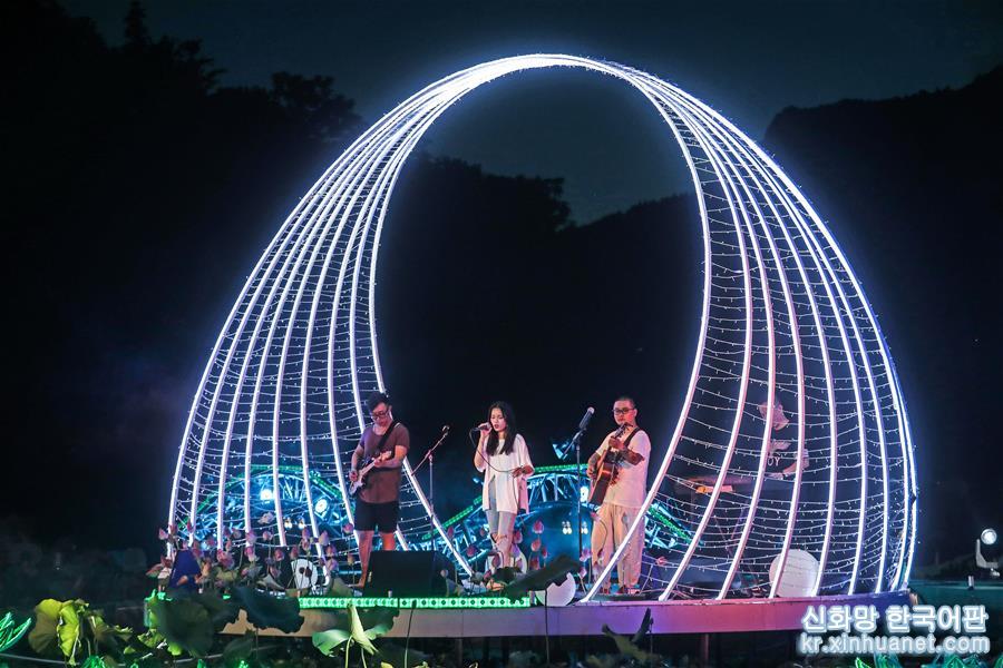 （社会）（6）夏日乡村举办“荷塘乐色”音乐会
