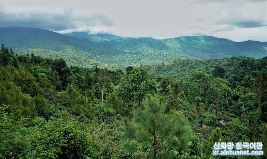 （环境）（5）20余载植树造林 万亩荒山成森林