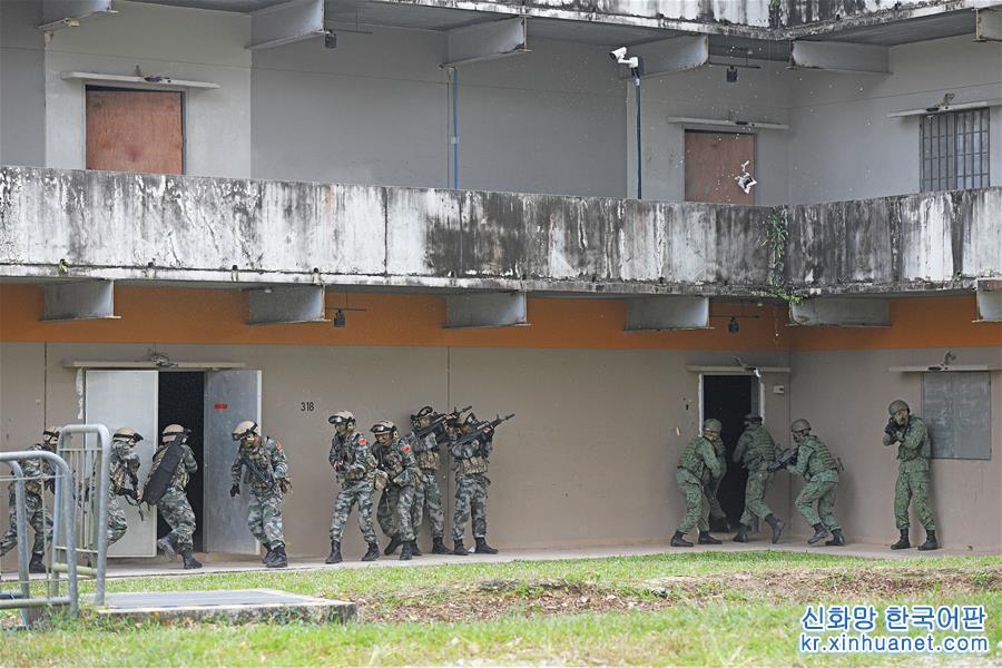（国际）（2）“合作-2019”中新陆军联合训练闭幕
