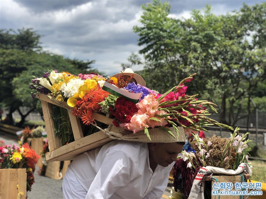 （国际）（5）第62届哥伦比亚麦德林鲜花节落幕