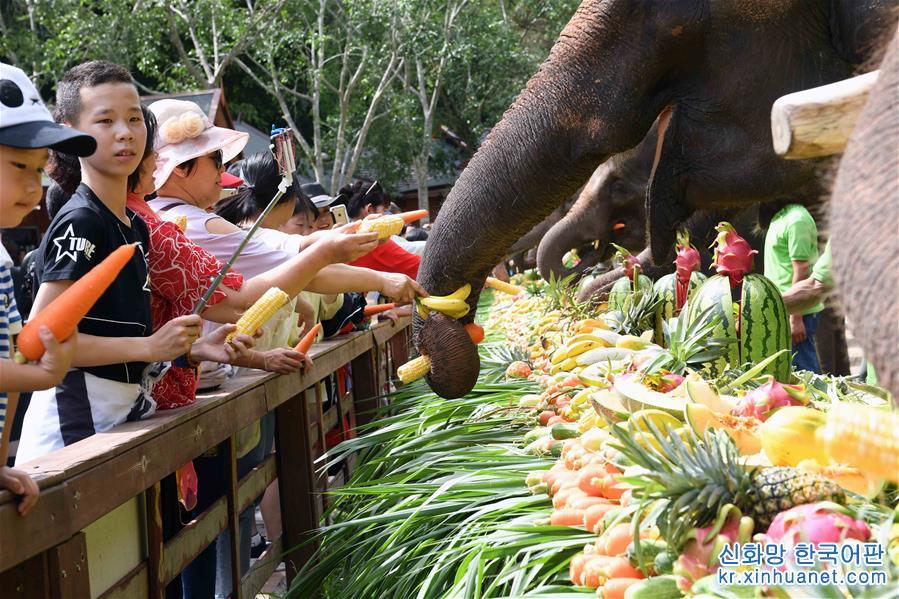（社会）（2）西双版纳举行关爱亚洲象公益活动