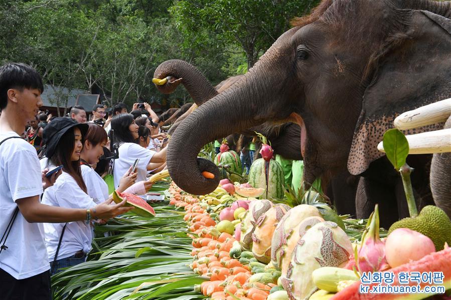 （社会）（4）西双版纳举行关爱亚洲象公益活动