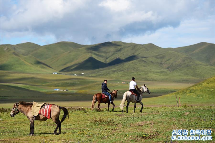 （社会）（11）甘南藏区：生态旅游助牧民“绿色”致富