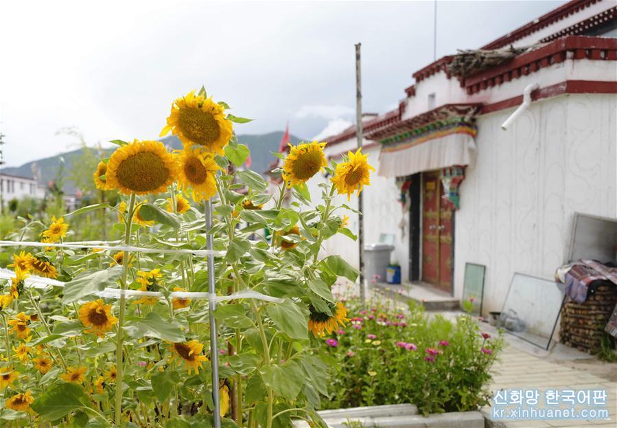 （社会）（4）探访西藏首批易地扶贫搬迁点——拉萨河畔四季吉祥村
