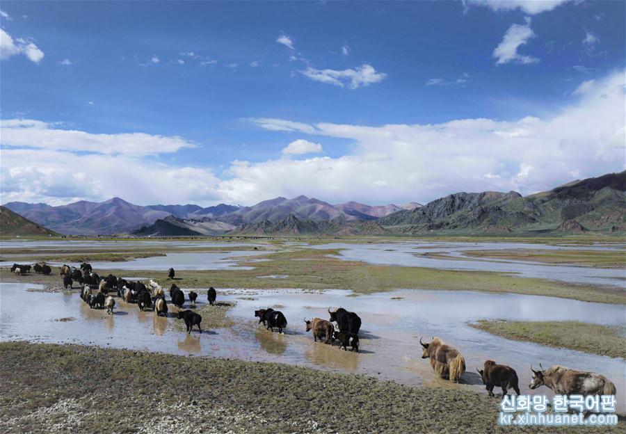 （北京世园会）（11）生态中国·醉美西藏高原情
